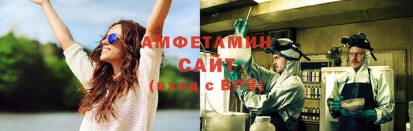 прущие грибы Горнозаводск