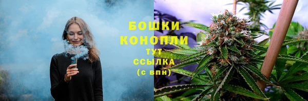 PSILOCYBIN Армянск