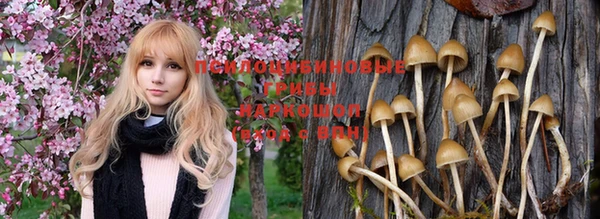 PSILOCYBIN Армянск