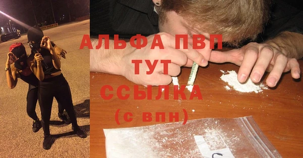 крисы Горняк