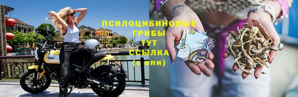 jwh Аркадак