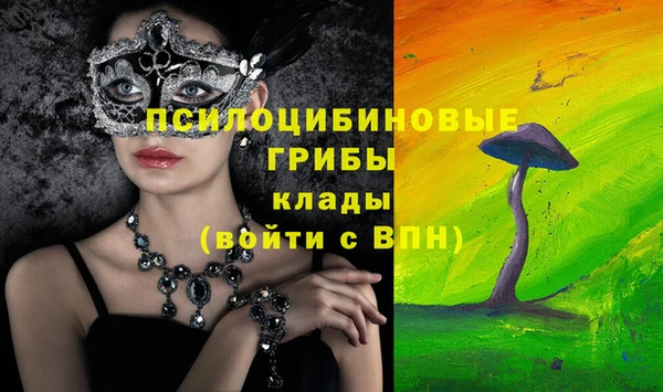 МДМА Арсеньев