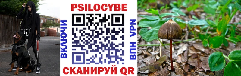 Галлюциногенные грибы GOLDEN TEACHER  Юрьевец 